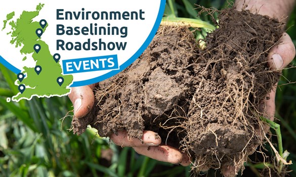 Hands holding a clump of soil.